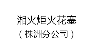 株洲湘火炬火花塞有限责任公司汽车密封分公司